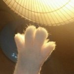[댓글부탁해] 숙제 못했는데 학원<b>쌤</b>한테 뭐라 <b>말</b>해