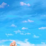 [군대] 짹도 <b>판도</b> 어수선하네