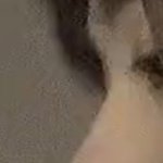 [ㅈㄱㄴ] ㄹㅇ <b>코</b>는 옆모습도 중요한데 앞모습도 중요한듯,,,,...