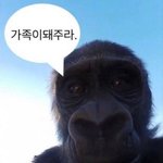 [드루와] 씻기 개귀<b>차노</b>으어케