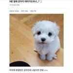 나 <b>밤</b>에 <b>짝</b>남만난다는글쓰니인데