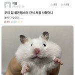 내일 뭐할지 ㅊㅊ좀.ᐟ.ᐟ.ᐟ.ᐟ.ᐟ.ᐟ.ᐟ.ᐟ.ᐟ.ᐟ.ᐟ.ᐟ