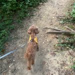 (+추가) 누가 선바급(?) 유튜버 정리좀 해주면 안될까
