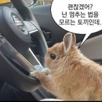 [댓글부탁해] 인스타 <b>염탐</b>계 누군지 아는 법 있어?