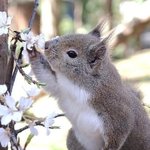 [19] 엠비티아이 중이 <b>Isfp</b>들이 노답인거같음…