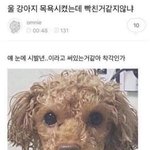 [댓글부탁해] 고3 수능 안보는 수시러애들 이번 <b>여름방학</b> 때 뭐했을까