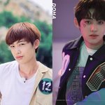 야생돌 <b>사진봄</b>?