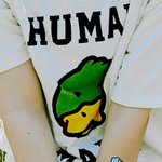 [에이티즈] 찌부오리