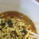 [댓글부탁해] 오<b>xx</b> 카레컵라면에서 유충(애벌레),거미,거미줄 발견