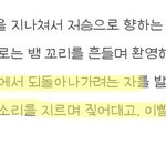 [펜타곤] 얘들아 이런애들이