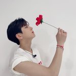 김앵앵<b>훈</b> 미쳤묘?