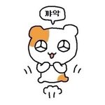 햄깅 이거 너무 따라한것같지 않음..?