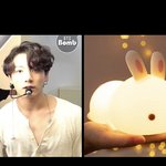 [방탄소년단] 하다 하다 <b>무드</b>등도 닮은 정구기