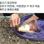 [에이티즈] 복받은<b>생선</b>