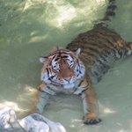 4시에 별볼건데 추반ㄱ