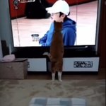 [스키즈] 아 순이 왜케 귀엽냐