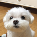 [댓글부탁해] 다이어트해본애<b>드랑</b>