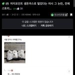 [NCT즌] 와 <b>여시들</b> 그냥 거지임