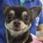 하아..시맨틱<b>에러</b> 너무 재밌어