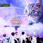 [NCT즌] 플에 <b>미안</b>한데