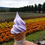 [위꼴사] <b>코시국</b> 이전 일본에서 먹은 음식 짤털