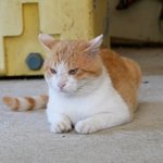 [댓글부탁해] <b>mbti</b>별 죽어도 하기싫은 직업