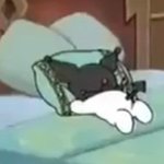 [댓글부탁해] 나 요즘 고민 생겼다