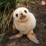 인스타 <b>설문</b> 누르면