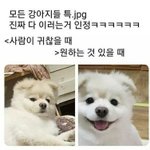 [댓글부탁해] enfp에서 <b>estp</b>됐는데 인간에 대한
