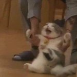 [이것좀봐줘] <b>clc</b> 유진 덥 큐 닮지 않음??