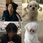 [방탄소년단] 우리 이삐들 <b>세상</b> 커엽