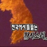 [댓글부탁해] 고1인데 내신 걍 버릴까..?
