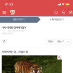 톡선 빌런 10<b>대감</b> 진짜 뭐노;;;;;