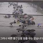 [NCT즌] ㅅㄷ <b>야밤</b>에 빡빡 웃는중