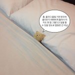 [댓글부탁해] 나루토 본 애들아
