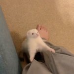 고3들아 너네 요즘 <b>안색</b> 어때..?