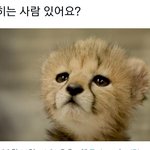 [NCT즌] 이거 마쿠