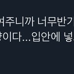 [NCT즌] 와 <b>확률</b> 미쳤다....