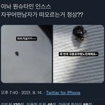 [NCT즌] 원슈님 인스스...