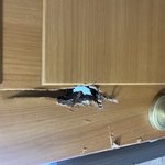 [꼭조언부탁] 안방 문 부수고 들어온 남편