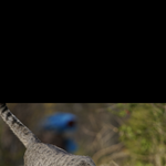 [댓글부탁해] 수학숙제 20페이지 <b>밀림</b>ㅎ