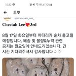 [NCT즌] 치<b>타리</b>..ㅜㅜ존버는 성공한다