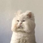 [댓글부탁해] 얘들아 나 <b>치질</b>인듯;;