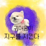 저혼자 보기 아까워서,,, 광기어린 <b>포</b><b>메</b>