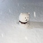 내 <b>팔뚝</b>살 다 사라졌음