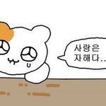[댓글부탁해] <b>학</b><b>종</b>러들 내신이랑 대학 어디 쓰는지 적고 가