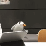 [TXT] 아니 이거 개귀엽넼ㅋㅋㅋㅋ