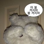 <b>말풍선</b> 짤 공유함