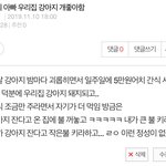 [드루와] 울 집 강아지 하늘나라 갔는데
