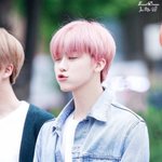 <b>솔라</b>이클립스 보는사람잇냐